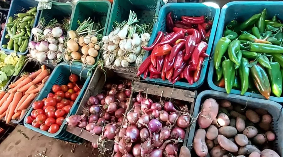 Légumes Maroc